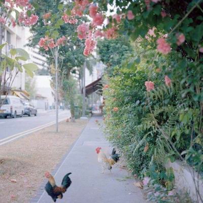 天博国际线上平台官网下载