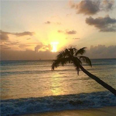 九游J9真人游戏第一品牌