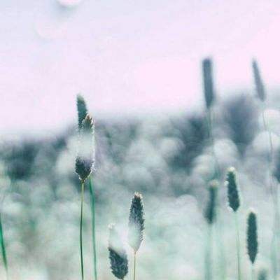 九游J9真人游戏第一品牌截图